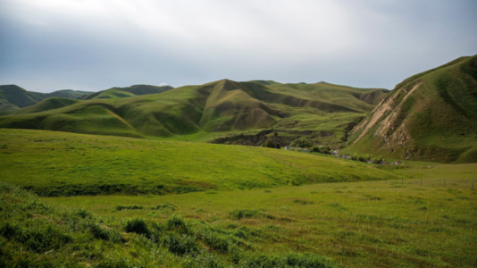 Attorney of man shot in ICE-involved shooting says 18th Street gang allegations are false