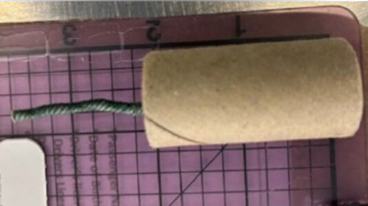 Man allegedly had explosive device in his carry-on bag at California airport: TSA